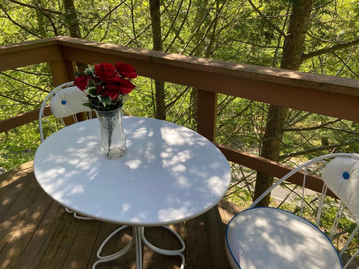 Saw Creek Cabin - Regent Hilltop Bushkill Ngoại thất bức ảnh