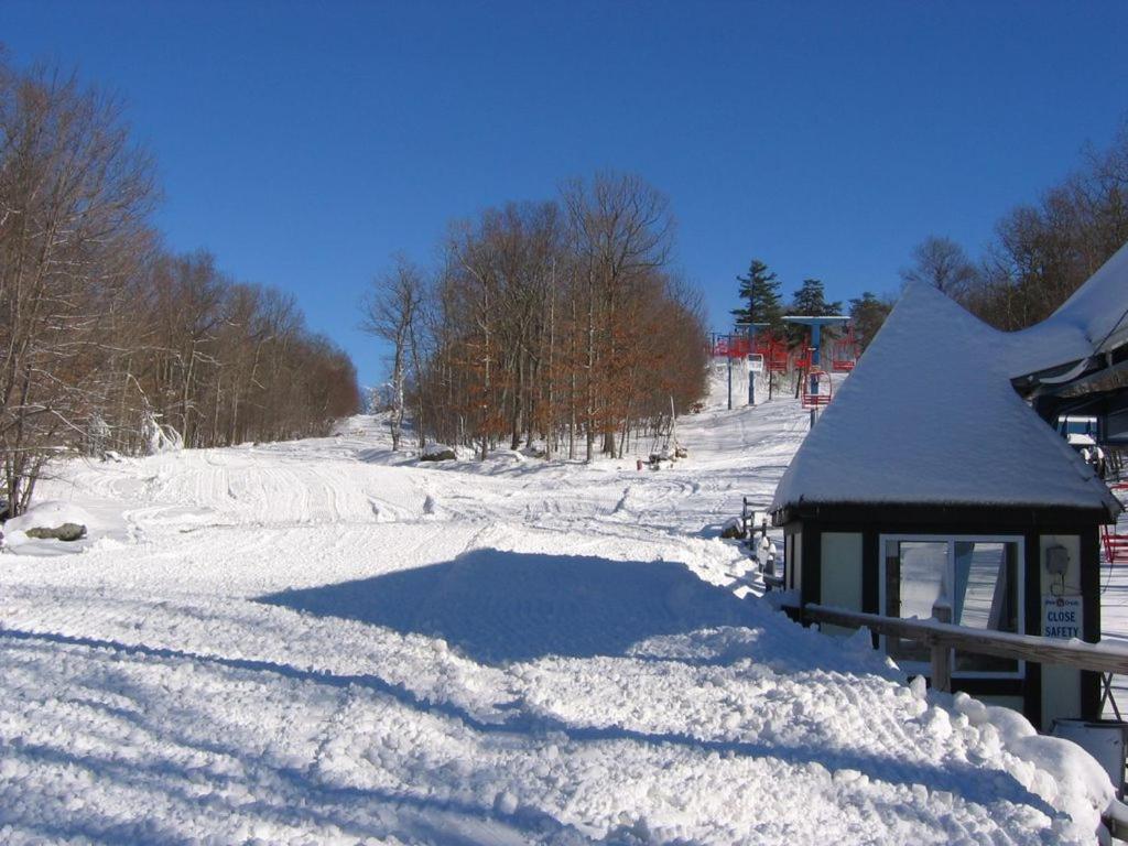 Saw Creek Cabin - Regent Hilltop Bushkill Ngoại thất bức ảnh
