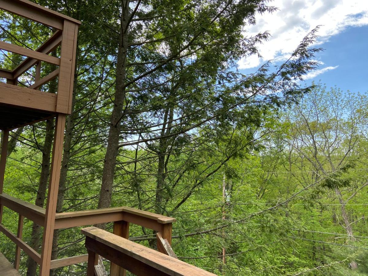 Saw Creek Cabin - Regent Hilltop Bushkill Ngoại thất bức ảnh
