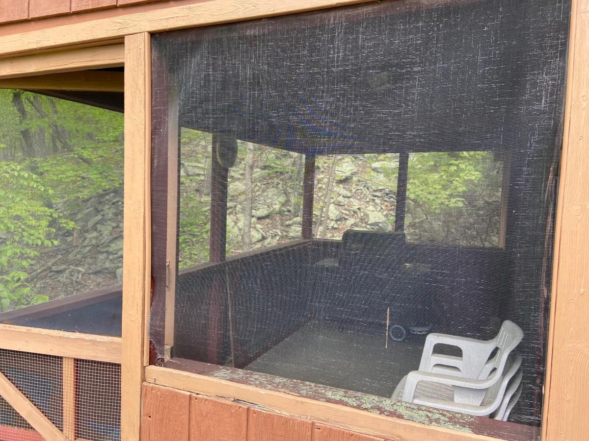 Saw Creek Cabin - Regent Hilltop Bushkill Ngoại thất bức ảnh
