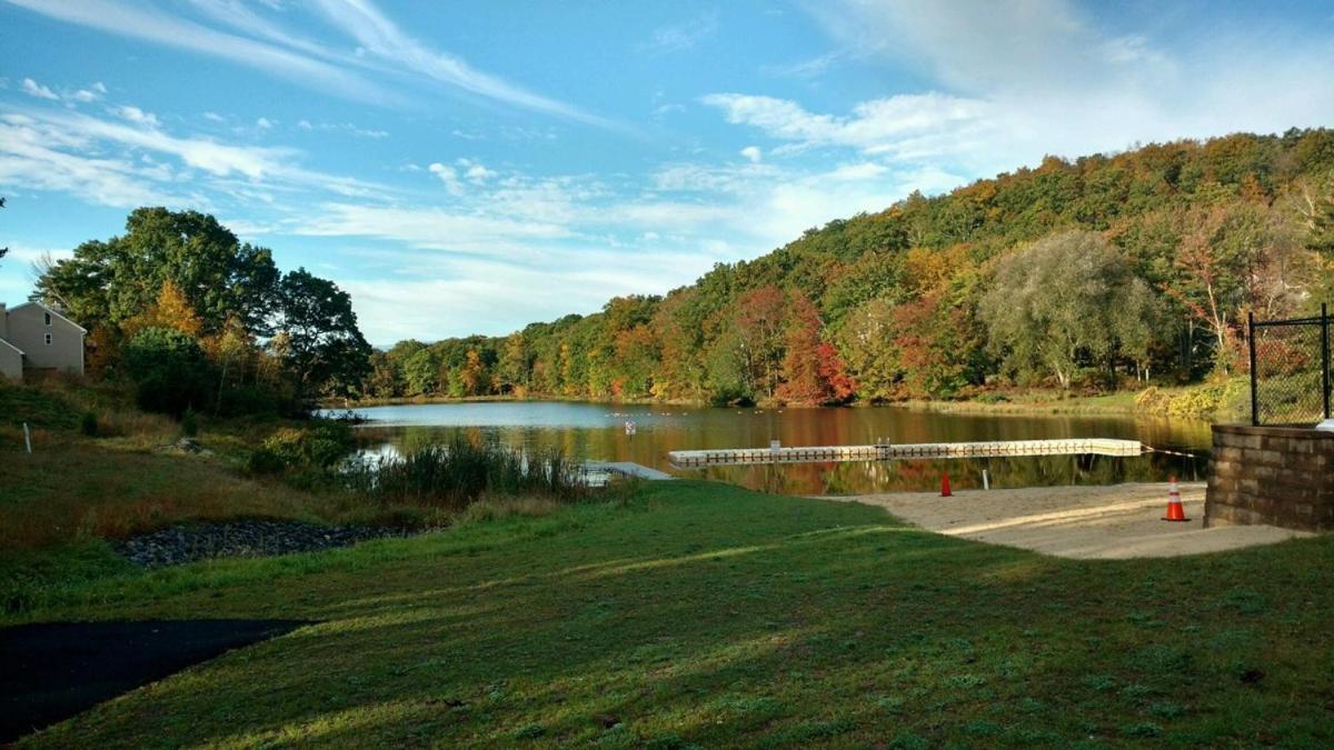 Saw Creek Cabin - Regent Hilltop Bushkill Ngoại thất bức ảnh